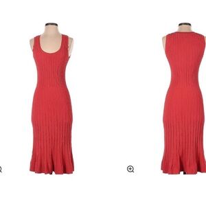 Stunning knit dress nwot Lida Baday